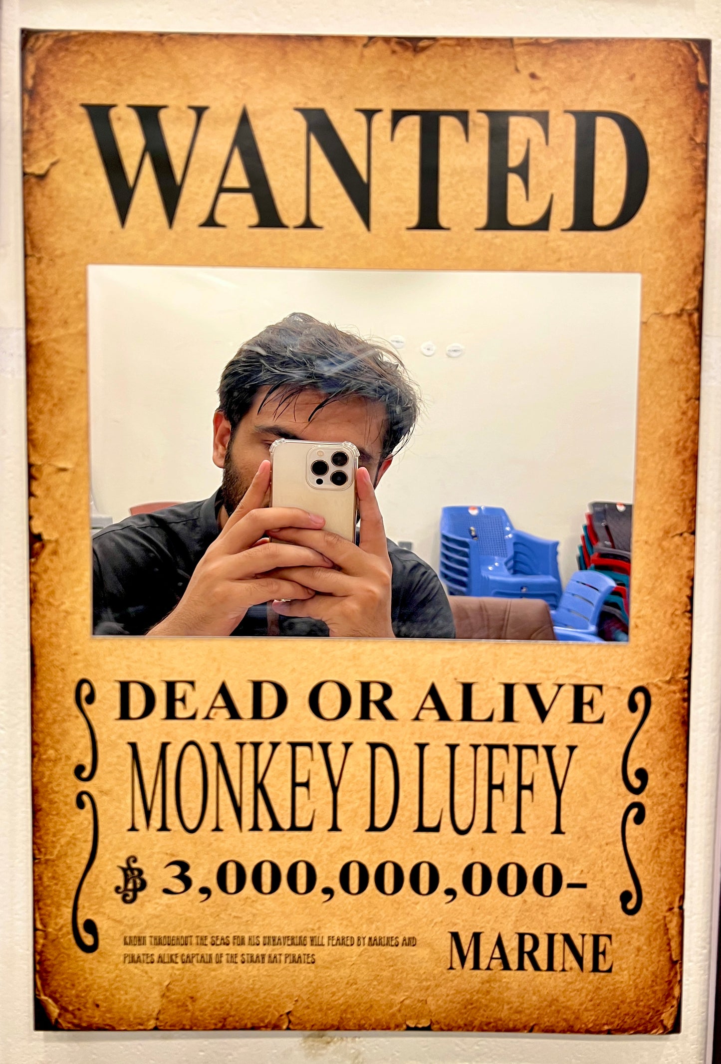 One Piece Wanted Mirror