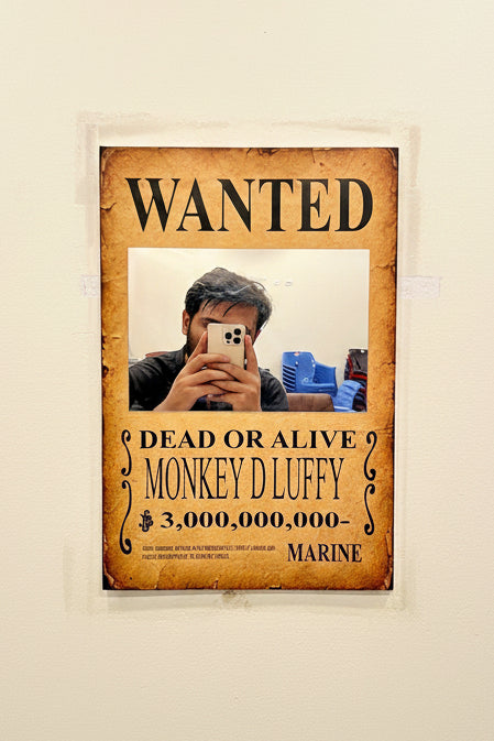 One Piece Wanted Mirror